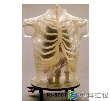 美国RSD ART Phantom胸部模体